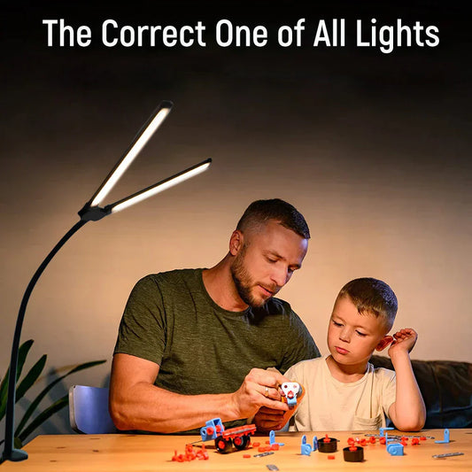 Home Office LED Desk Lamp