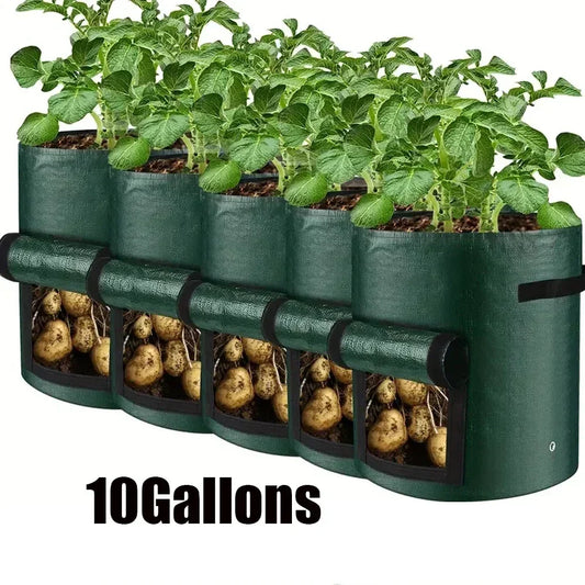 5-Pack Vegetable Grow Bags – Thickened PE Planting Containers for Garden & Balcony Use